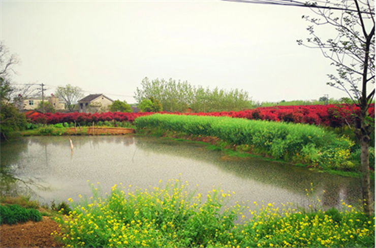 國禎環保-快樂(le) 國禎環湖毅行沿途風景