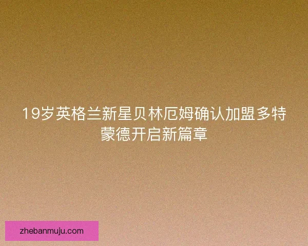 19岁英格兰新星贝林厄姆确认加盟多特蒙德开启新篇章