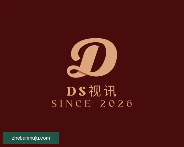 认识DS视讯